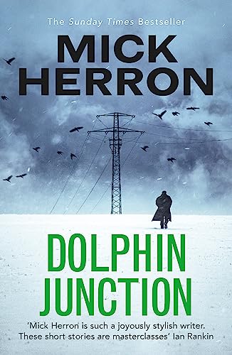 Mick Herron - Dolphin Junction - Paperback image 1