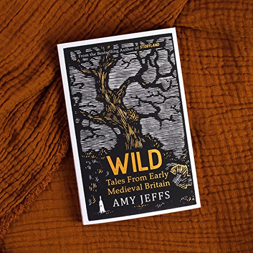 Amy Jeffs - Wild : Tales from Early Medieval Britain - Paperback image 2