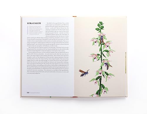 Simon Klein - Sexual Life of Flowers - Hardback image 3