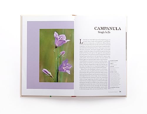 Simon Klein - Sexual Life of Flowers - Hardback image 4