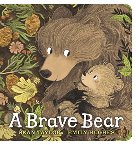 Sean Taylor - A Brave Bear - Hardback image 1