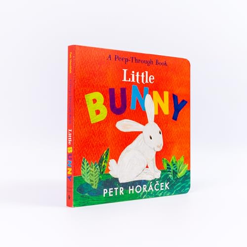 Petr Horacek - Little Bunny - Hardback image 1