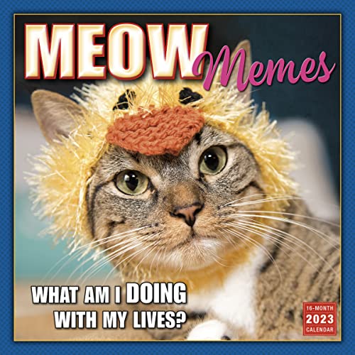 SELLERS PUBLISHING - MEOW MEMES - Paperback image 1