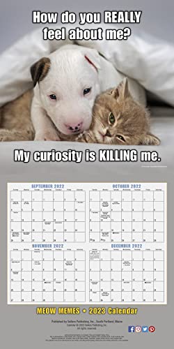 SELLERS PUBLISHING - MEOW MEMES - Paperback image 2