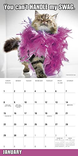SELLERS PUBLISHING - MEOW MEMES - Paperback image 3