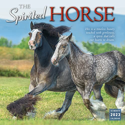 SELLERS PUBLISHING - SPIRITED HORSE THE - Non-book item image 1