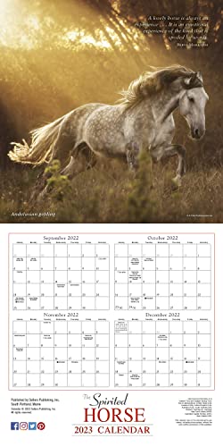 SELLERS PUBLISHING - SPIRITED HORSE THE - Non-book item image 2