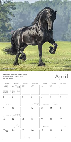 SELLERS PUBLISHING - SPIRITED HORSE THE - Non-book item image 3