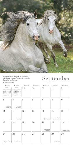 SELLERS PUBLISHING - SPIRITED HORSE THE - Non-book item image 4