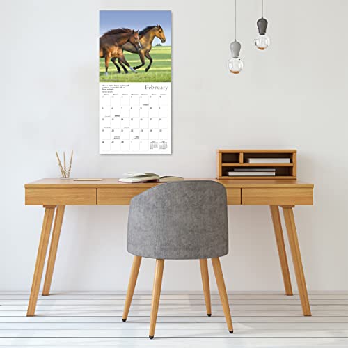 SELLERS PUBLISHING - SPIRITED HORSE THE - Non-book item image 5