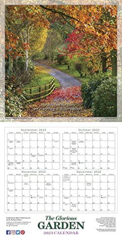 CLIVE NICHOLS - GLORIOUS GARDEN - Non-book item image 2