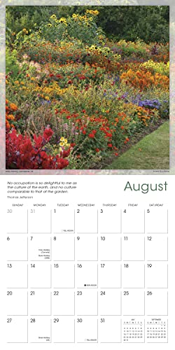 CLIVE NICHOLS - GLORIOUS GARDEN - Non-book item image 4