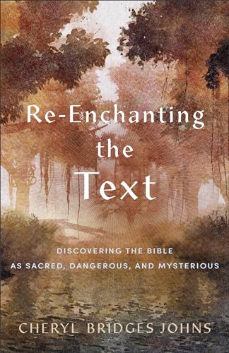 Cheryl Bridges Johns - Re-enchanting the Text - Discovering the Bible image 1