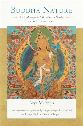 Taye Lodro - Buddha Nature : The Mahayana Uttaratantra Shastra with Co image 1