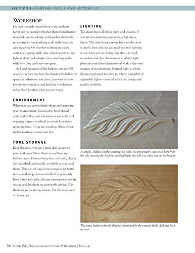 Chris Pye - 's Woodcarving Course & Referen - Paperback image 2