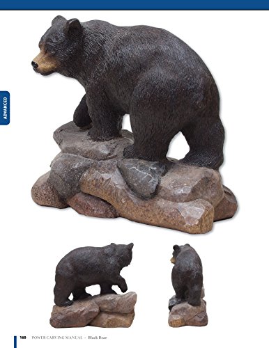 Wanda Marsh - Power Carving Manual, Second Edition : Tools, Techniques image 7