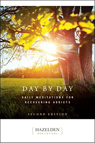 ANONYMOUS - Day By Day - Paperback image 1