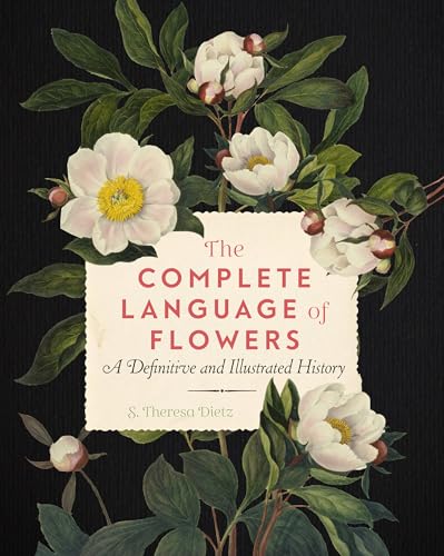 Paperback image 1