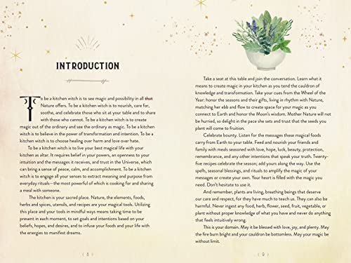 Aurora Kane - Kitchen Witch Handbook : Wisdom, Recipes, and Potions fo image 3