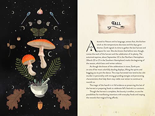 Aurora Kane - Kitchen Witch Handbook : Wisdom, Recipes, and Potions fo image 5