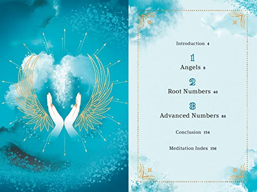Fortuna Noir - Angel Numbers : An Enchanting Meditation Book of Spirit image 2