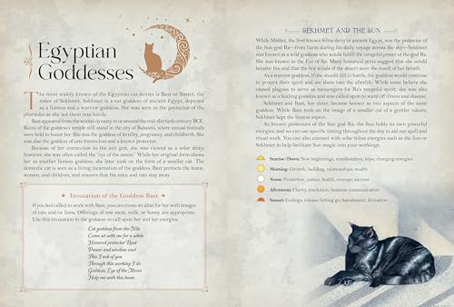 Editors of Rock Poin - Cat Magick : Undated Weekly and Monthly Planner image 3