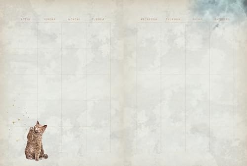 Editors of Rock Poin - Cat Magick : Undated Weekly and Monthly Planner image 4