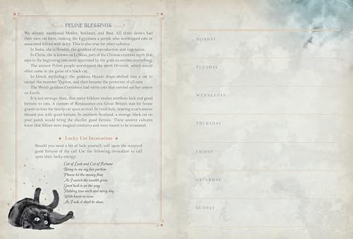 Editors of Rock Poin - Cat Magick : Undated Weekly and Monthly Planner image 5