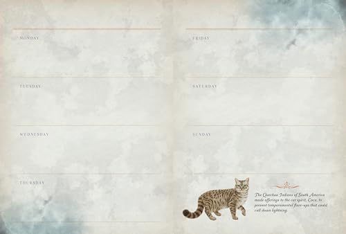Editors of Rock Poin - Cat Magick : Undated Weekly and Monthly Planner image 7