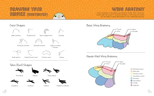 Jen Budrock - Kawaii Birdies : Learn to Draw 80 Adorable Feathered Fri image 3