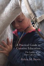 Robyn Brown - A Practical Guide to Curative Education : The Ladder of image 1