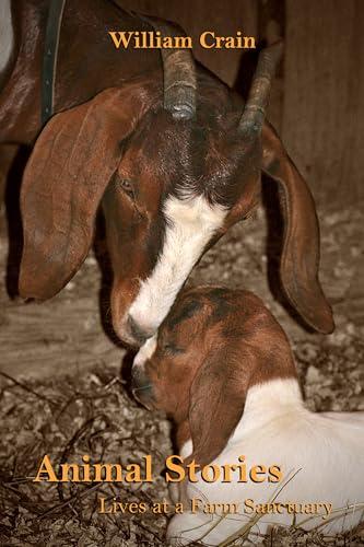 William Crain - Animal Stories : Lives at a Farm Sanctuary - Paperback image 1