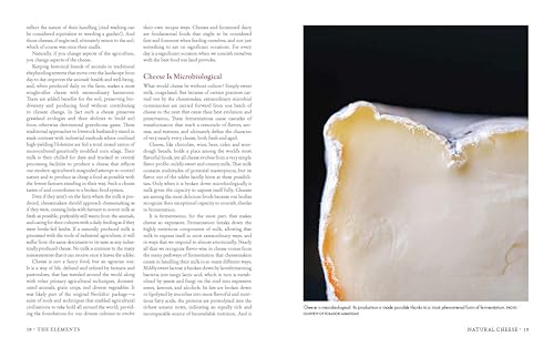 David Asher - Milk Into Cheese : The Foundations of Natural Cheesemaki image 2