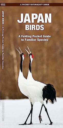 Waterford Press - Japan Birds : A Folding Pocket Guide to Familiar Spe image 1