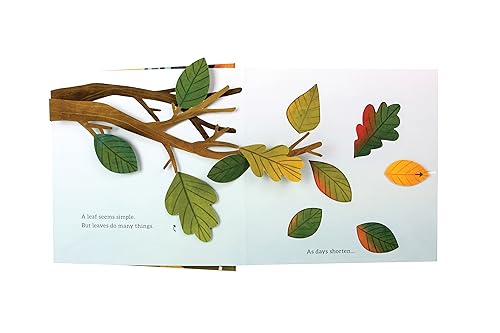 Janet Lawler - Leaves : An Autumn Pop-Up Book - Hardback image 2