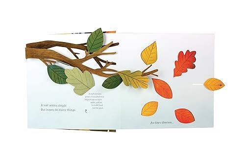Janet Lawler - Leaves : An Autumn Pop-Up Book - Hardback image 3
