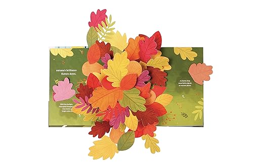 Janet Lawler - Leaves : An Autumn Pop-Up Book - Hardback image 5
