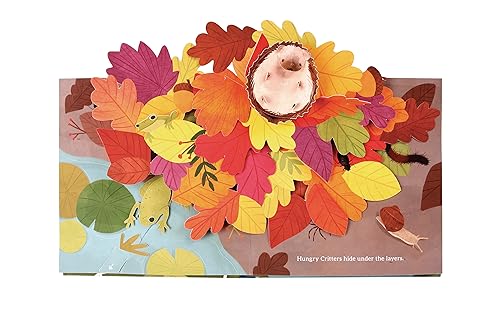 Janet Lawler - Leaves : An Autumn Pop-Up Book - Hardback image 6