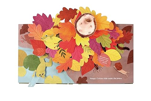 Janet Lawler - Leaves : An Autumn Pop-Up Book - Hardback image 7