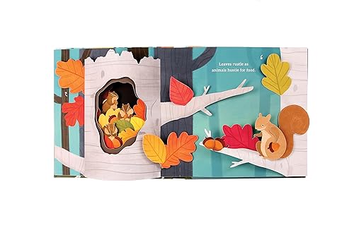 Janet Lawler - Leaves : An Autumn Pop-Up Book - Hardback image 8