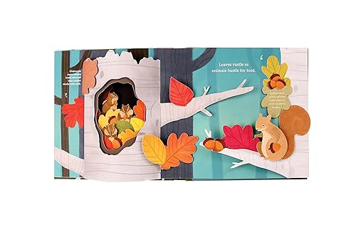Janet Lawler - Leaves : An Autumn Pop-Up Book - Hardback image 9