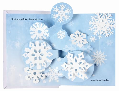 Jennifer Preston Chu - Flurry : A Mini Snowflakes Pop-Up Book - Hardba image 2
