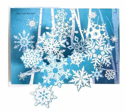 Jennifer Preston Chu - Flurry : A Mini Snowflakes Pop-Up Book - Hardba image 3