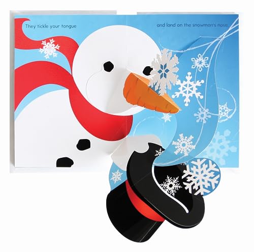 Jennifer Preston Chu - Flurry : A Mini Snowflakes Pop-Up Book - Hardba image 5