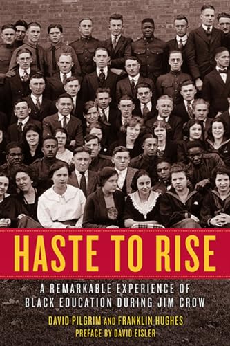 David Eisler - Haste To Rise : A Remarkable Experience of Black Educat image 1