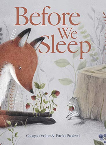 Giorgio Volpe - Before We Sleep - Hardback image 1
