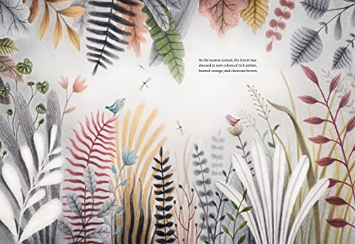 Giorgio Volpe - Before We Sleep - Hardback image 2