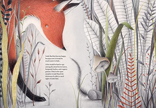 Giorgio Volpe - Before We Sleep - Hardback image 3