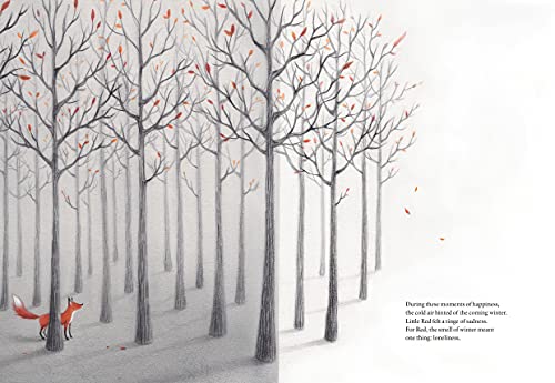 Giorgio Volpe - Before We Sleep - Hardback image 5