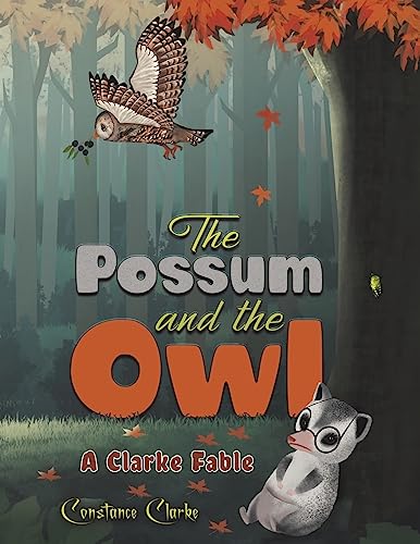 Constance Clarke - Possum and the Owl - Paperback image 1